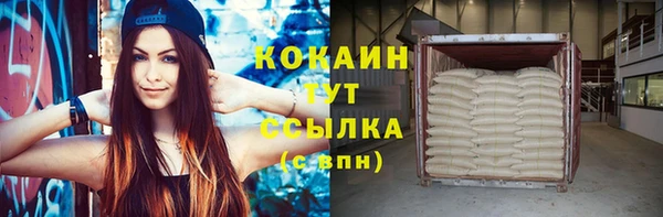 прущие грибы Нея