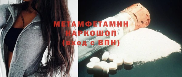 прущие грибы Нея
