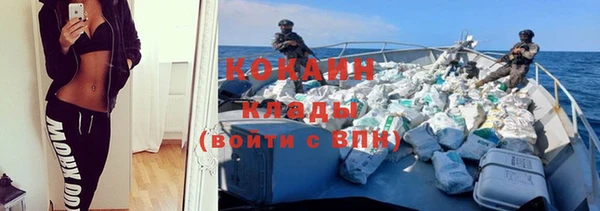 прущие грибы Нея