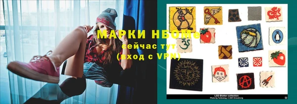 прущие грибы Нея