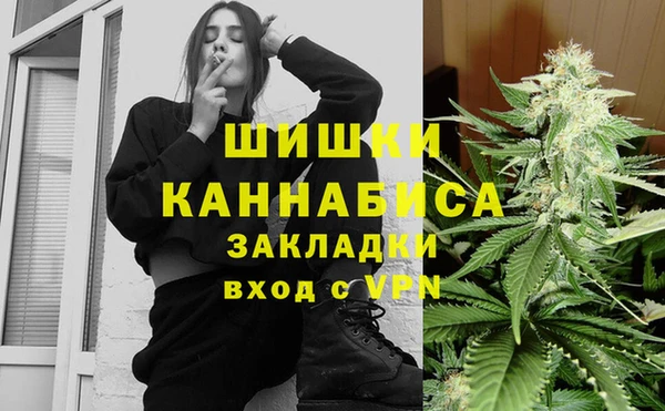 прущие грибы Нея