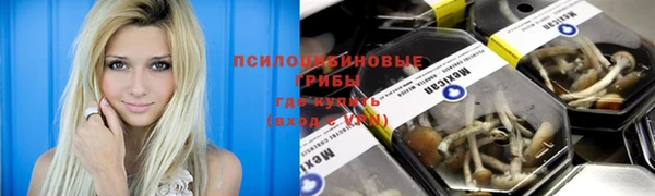 Альфа ПВП Нефтекумск