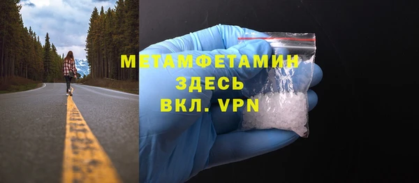 прущие грибы Нея