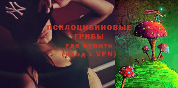 прущие грибы Нея