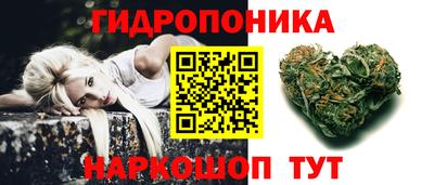 гашик Тара